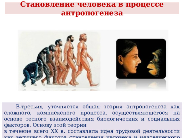  Становление человека в процессе антропогенеза    В-третьих, уточняется общая теория антропогенеза как сложного, комплексного процесса, осуществляющегося на основе тесного взаимодействия биологических и социальных факторов. Основу этой теории в течение всего XX в. составляла идея трудовой деятельности как ведущего фактора становления человека и человеческого общества. 