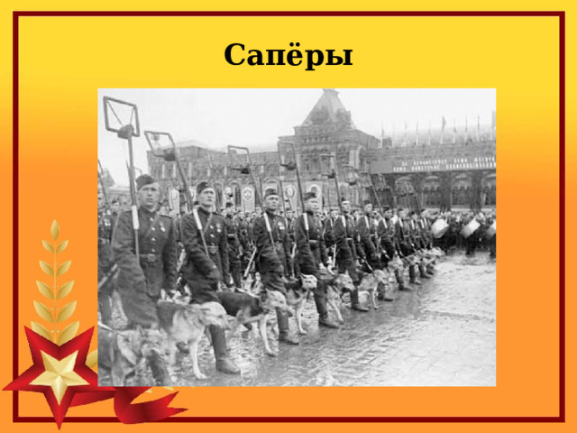 Сапёры 