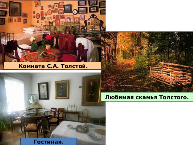 Комната С.А. Толстой. Любимая скамья Толстого. Гостиная. 