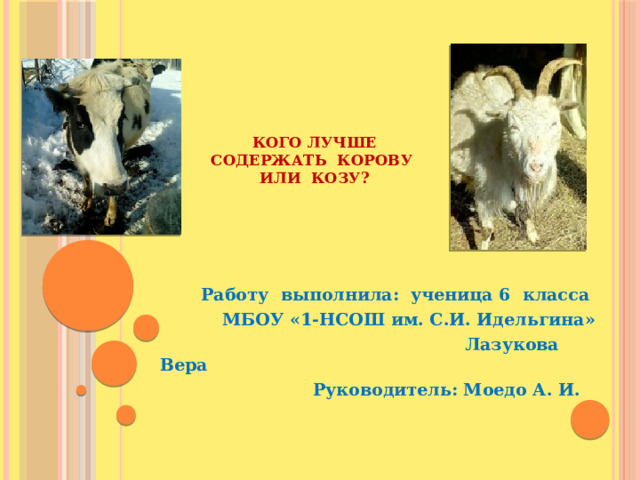 Кого лучше содержать корову или козу? Работу выполнила: ученица 6 класса  МБОУ «1-НСОШ им. С.И. Идельгина»  Лазукова Вера  Руководитель: Моедо А. И.  