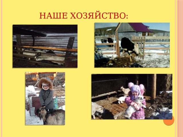 Наше хозяйство: 