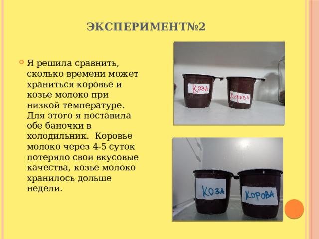 Эксперимент№2 Я решила сравнить, сколько времени может храниться коровье и козье молоко при низкой температуре. Для этого я поставила обе баночки в холодильник. Коровье молоко через 4-5 суток потеряло свои вкусовые качества, козье молоко хранилось дольше недели. 