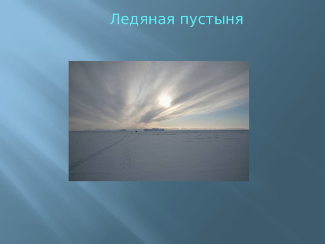  Ледяная пустыня 