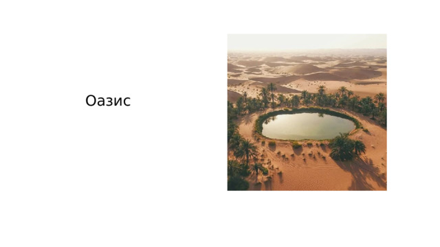 Оазис 