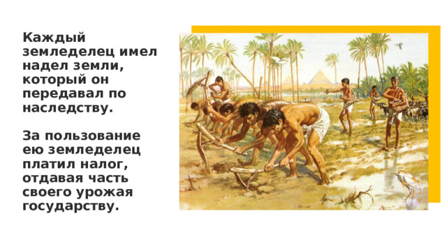Каждый земледелец имел надел земли, который он передавал по наследству.   За пользование ею земледелец платил налог, отдавая часть своего урожая государству. 