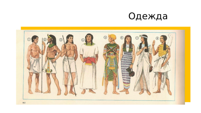 Одежда 