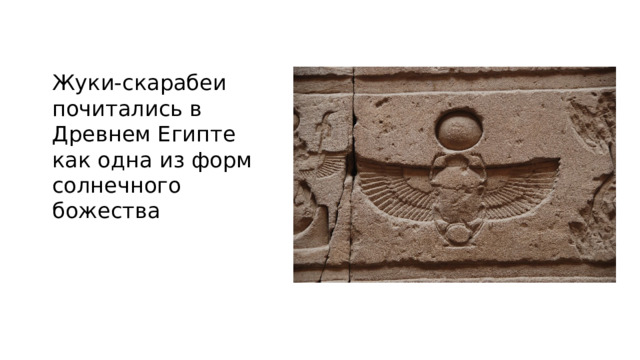 Жуки-скарабеи почитались в Древнем Египте как одна из форм солнечного божества 