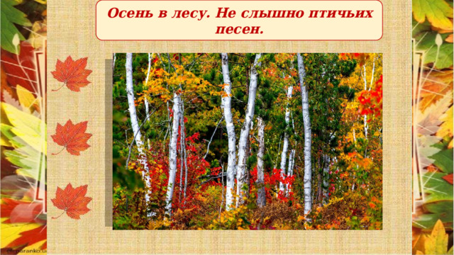 Осень в лесу. Не слышно птичьих песен. 