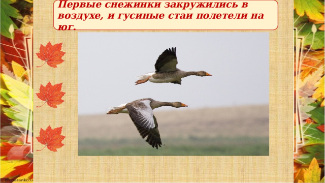 Первые снежинки закружились в воздухе, и гусиные стаи полетели на юг. 