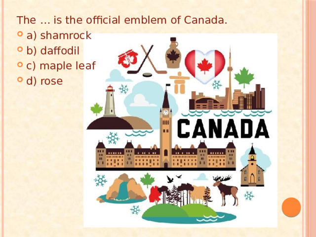 The … is the official emblem of Canada. a) shamrock b) daffodil c) maple leaf d) rose 