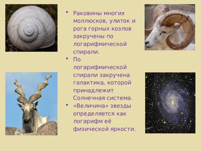 Раковины многих моллюсков, улиток и рога горных козлов закручены по логарифмической спирали. По логарифмической спирали закручена галактика, которой принадлежит Солнечная система. «Величина» звезды определяется как логарифм её физической яркости.  