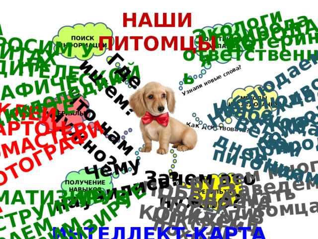 Как действовать? Узнали новые слова? будем много знать Пойдём в поход Заведём питомца ПОБЕДА НА КОНКУРСЕ ПРОЕКТ В ШКОЛЕ Что нам нужно? Экология Ветеринар Природа Наблюдаем за Ведём дневник неживой природой Наблюдаем за НА САЙТАХ Живой природой НА ГЕОГРАФИЧЕСКОЙ Где ищем? КАРТЕ Чему научились? ФОТОГРАФИИ КЛЕЙ ФЛОМАСТЕРЫ ВЫБИРАЕМ ГЛАВНОЕ СТАВИМ ЦЕЛЬ КОНСТРУИРУЕМ СПРОСИМ У АНАЛИЗИРУЕМ РОДИТЕЛЕЙ В энциклопедии Наблюдаем за питомцами ПОРОДА НАШИ ПИТОМЦЫ   ПОИСК ИНФОРМАЦИИ ПОНЯТИЙНЫЙ АППАРАТ ответственность  МЕТОДЫ ИССЛЕДОВАНИЯ  МАТЕРИАЛЫ КАРТОН Зачем это нужно?   ПОЛУЧЕНИЕ НАВЫКОВ СИСТЕМАТИЗИРУЕМ РЕЗУЛЬТАТ ИНТЕЛЛЕКТ-КАРТА 