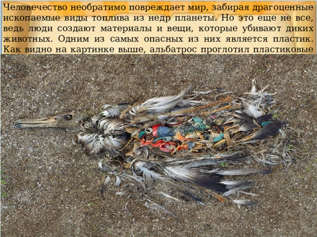 Человечество необратимо повреждает мир, забирая драгоценные ископаемые виды топлива из недр планеты. Но это еще не все, ведь люди создают материалы и вещи, которые убивают диких животных. Одним из самых опасных из них является пластик. Как видно на картинке выше, альбатрос проглотил пластиковые предметы, которые он не в состоянии переварить — это привело к его смерти. 
