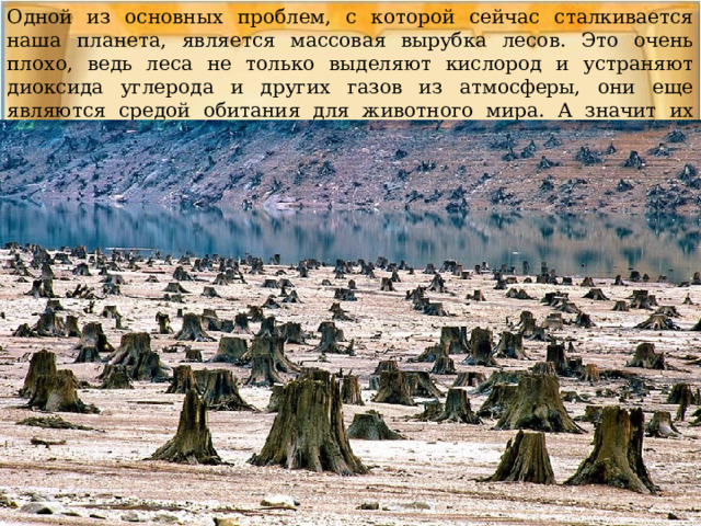 Одной из основных проблем, с которой сейчас сталкивается наша планета, является массовая вырубка лесов. Это очень плохо, ведь леса не только выделяют кислород и устраняют диоксида углерода и других газов из атмосферы, они еще являются средой обитания для животного мира. А значит их вырубка снижает разнообразие живых существ на Земле. 