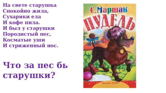 На свете старушка Спокойно жила, Сухарики ела И кофе пила. И был у старушки Породистый пес, Косматые уши И стриженный нос.   Что за пес был у старушки? 