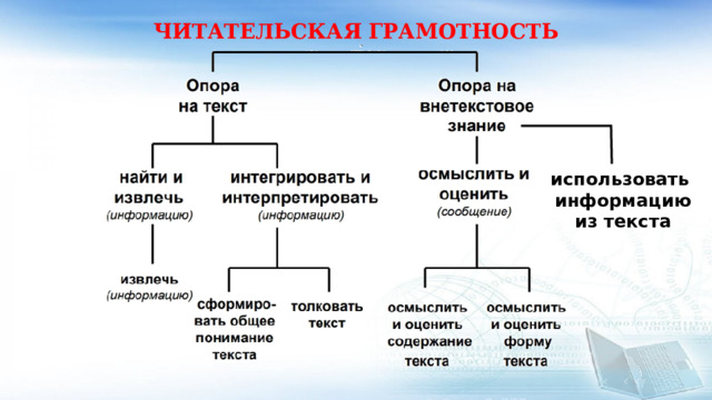 ЧИТАТЕЛЬСКАЯ ГРАМОТНОСТЬ использовать информацию из текста 