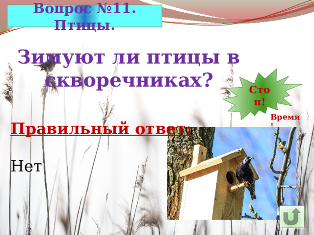 Вопрос №11. Птицы. Зимуют ли птицы в скворечниках? 13 30 Стоп! 1 2 3 4 5 6 7 8 9 10 11 29 12 14 23 28 27 26 25 15 24 22 21 20 19 18 17 16 Время! Правильный ответ: Нет 