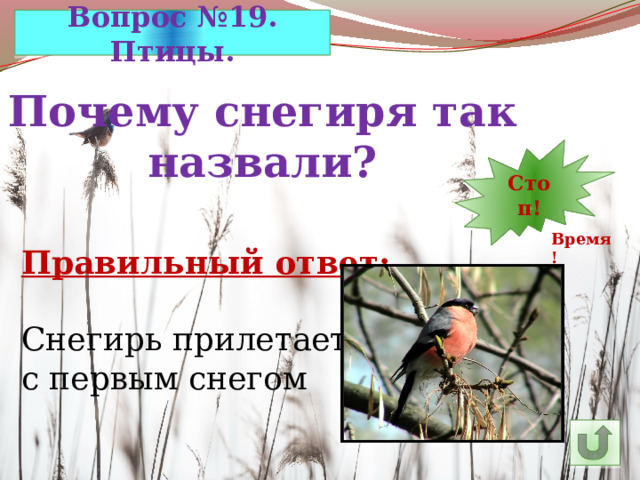 Вопрос №19. Птицы. Почему снегиря так назвали? 7 30 11 10 9 8 5 6 14 4 3 2 1 Стоп! 13 12 15 24 29 28 27 16 25 26 23 22 21 20 19 18 17 Время! Правильный ответ: Снегирь прилетает с первым снегом 