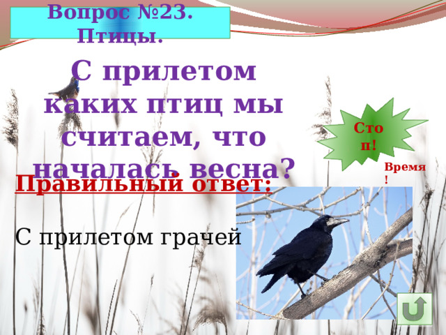 Вопрос №23. Птицы. С прилетом каких птиц мы считаем, что началась весна? 13 30 Стоп! 1 2 3 4 5 6 7 8 9 10 11 29 12 14 23 28 27 26 25 15 24 22 21 20 19 18 17 16 Время! Правильный ответ: С прилетом грачей 
