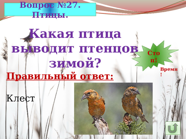 Вопрос №27. Птицы. Какая птица выводит птенцов зимой? 7 12 11 10 9 8 5 6 14 4 3 2 1 Стоп! 30 13 15 24 29 28 27 26 16 25 23 22 21 20 19 18 17 Время! Правильный ответ: Клест 