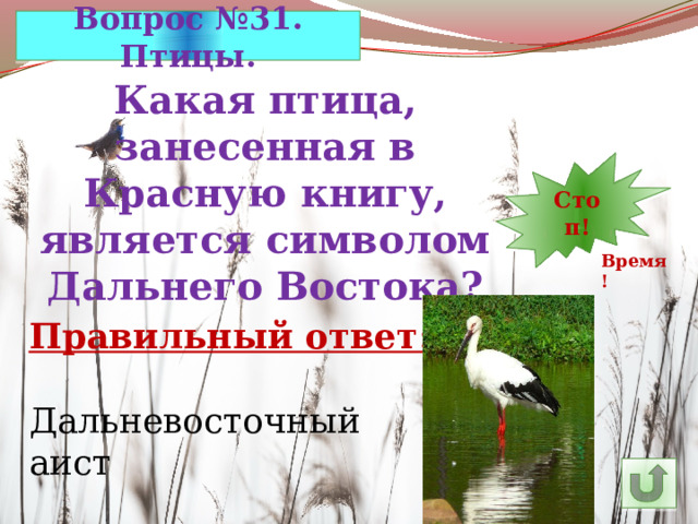 Вопрос №31. Птицы. Какая птица, занесенная в Красную книгу, является символом Дальнего Востока? 7 30 11 10 9 8 5 6 14 4 3 2 1 Стоп! 13 12 15 24 29 28 27 16 25 26 23 22 21 20 19 18 17 Время! Правильный ответ: Дальневосточный аист 