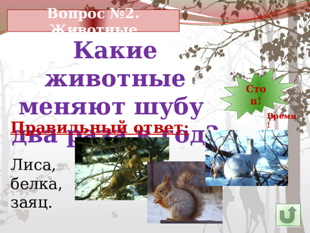 Вопрос №2. Животные Какие животные меняют шубу два раза в год? 7 12 30 10 9 8 5 6 14 4 3 2 1 Стоп! 13 11 15 24 29 28 16 26 25 27 23 21 20 19 18 17 22 Время! Правильный ответ: Лиса, белка, заяц. 