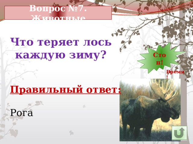 Вопрос №7. Животные Что теряет лось каждую зиму? 13 30 Стоп! 1 2 3 4 5 6 7 8 9 10 11 29 12 14 23 28 27 26 25 15 24 22 21 20 19 18 17 16 Время! Правильный ответ: Рога 