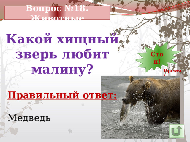 Вопрос №18. Животные Какой хищный зверь любит малину? 13 30 Стоп! 1 2 3 4 5 6 7 8 9 10 11 29 12 14 23 28 27 26 25 15 24 22 21 20 19 18 17 16 Время! Правильный ответ: Медведь 