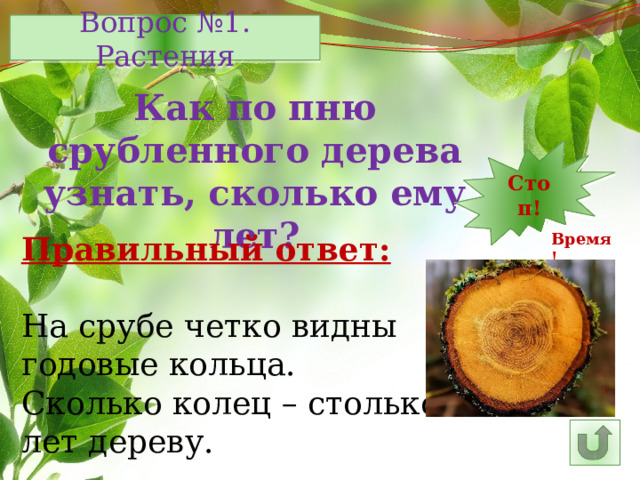 Вопрос №1. Растения Как по пню срубленного дерева узнать, сколько ему лет? Стоп! 1 2 3 4 5 15 7 8 9 10 11 12 13 6 14 16 25 30 29 28 27 17 26 24 23 22 21 20 19 18 Время! Правильный ответ: На срубе четко видны годовые кольца. Сколько колец – столько лет дереву. 