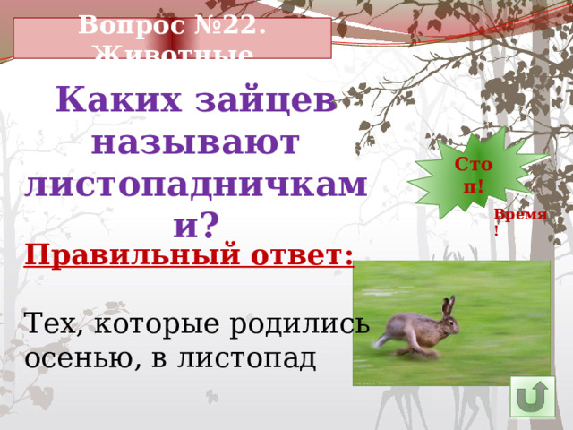 Вопрос №22. Животные Каких зайцев называют листопадничками? 12 13 Стоп! 1 2 3 4 5 6 7 8 9 10 29 30 11 14 23 28 27 26 15 24 25 22 21 20 19 18 17 16 Время! Правильный ответ: Тех, которые родились осенью, в листопад 