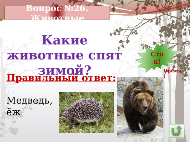 Вопрос №26. Животные Какие животные спят зимой? 7 30 11 10 9 8 5 6 14 4 3 2 1 Стоп! 13 12 15 24 29 28 27 16 25 26 23 22 21 20 19 18 17 Время! Правильный ответ: Медведь, ёж 