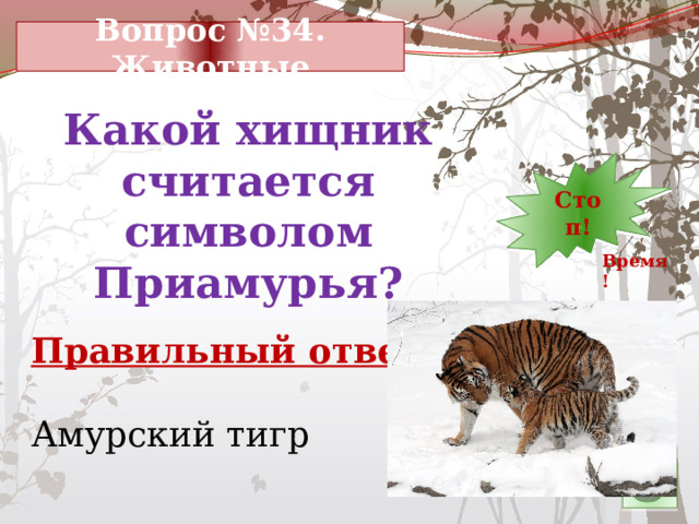 Вопрос №34. Животные Какой хищник считается символом Приамурья? 7 12 11 10 9 8 5 6 14 4 3 2 1 Стоп! 30 13 15 24 29 28 27 26 16 25 23 22 21 20 19 18 17 Время! Правильный ответ: Амурский тигр 
