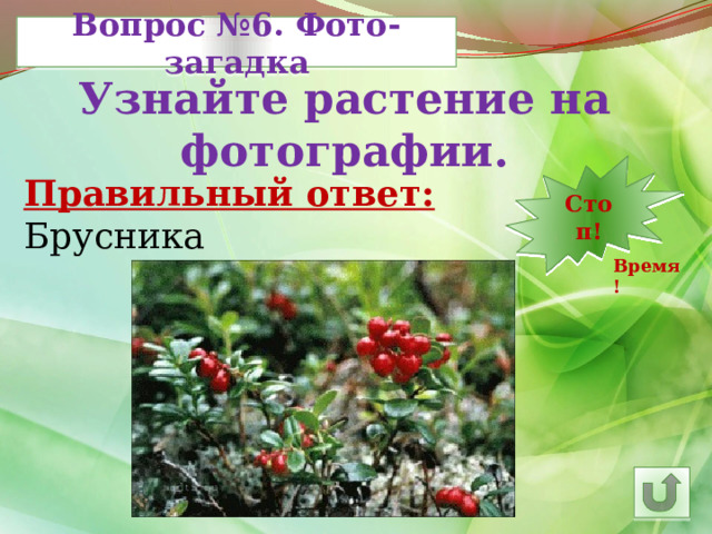 Вопрос №6. Фото-загадка Узнайте растение на фотографии. 7 12 11 10 9 8 5 6 14 4 3 2 1 Стоп! 30 13 15 24 29 28 27 26 16 25 23 22 21 20 19 18 17 Правильный ответ: Брусника Время! 