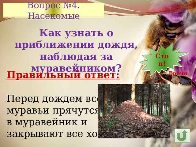 Вопрос №4. Насекомые Как узнать о приближении дождя, наблюдая за муравейником? 7 12 30 10 9 8 5 6 14 4 3 2 1 Стоп! 13 11 15 24 29 28 16 26 25 27 23 22 21 20 19 18 17 Правильный ответ: Перед дождем все муравьи прячутся в муравейник и закрывают все ходы Время! 