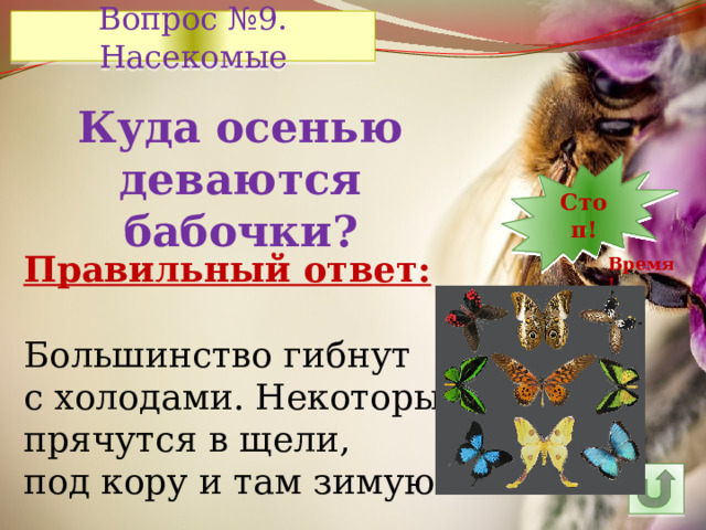 Вопрос №9. Насекомые Куда осенью деваются бабочки? 7 12 30 10 9 8 5 6 14 4 3 2 1 Стоп! 13 11 15 24 29 28 16 26 25 27 23 22 21 20 19 18 17 Правильный ответ: Большинство гибнут с холодами. Некоторые прячутся в щели, под кору и там зимуют. Время! 