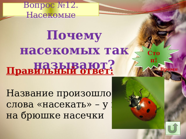Вопрос №12. Насекомые Почему насекомых так называют? 7 30 11 10 9 8 5 6 14 4 3 2 1 Стоп! 13 12 15 24 29 28 27 16 25 26 23 22 21 20 19 18 17 Правильный ответ: Название произошло от слова «насекать» – у них на брюшке насечки Время! 