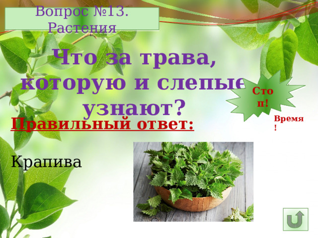 Вопрос №13. Растения Что за трава, которую и слепые узнают? Стоп! 1 2 3 4 5 15 7 8 9 10 11 12 13 6 14 16 25 30 29 28 27 17 26 24 23 22 21 20 19 18 Время! Правильный ответ: Крапива 