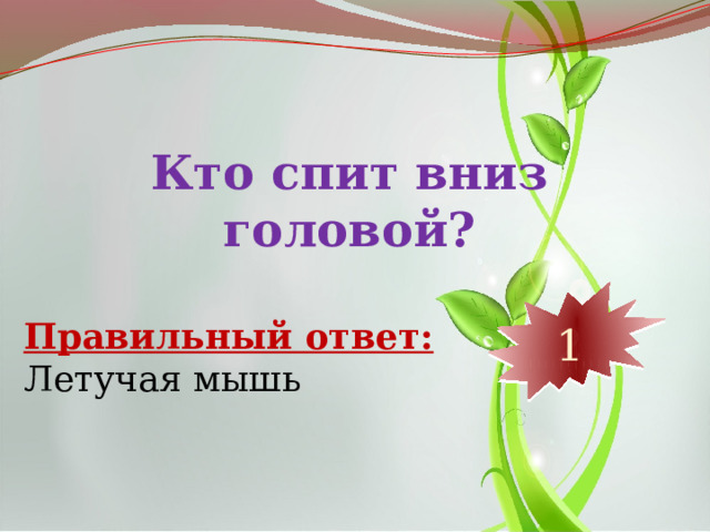 Кто спит вниз головой? 10 9 8 7 6 5 4 3 2 1 Правильный ответ: Летучая мышь 