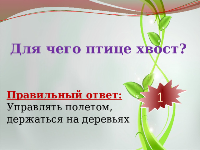 Для чего птице хвост? 10 9 8 7 6 5 4 3 2 1 Правильный ответ: Управлять полетом, держаться на деревьях 