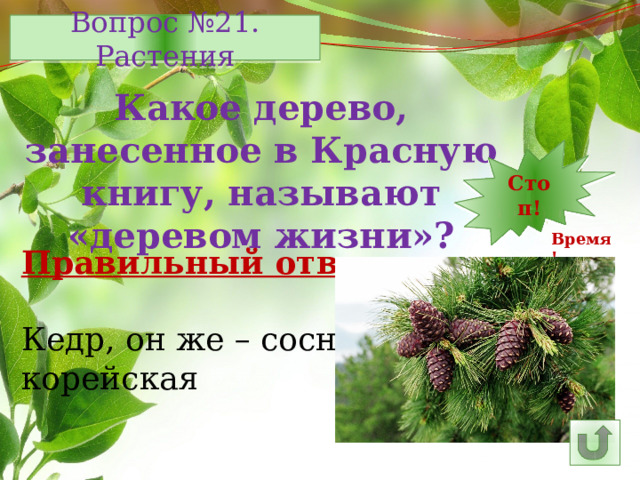 Вопрос №21. Растения Какое дерево, занесенное в Красную книгу, называют «деревом жизни»? 7 12 11 10 9 8 6 15 5 4 3 2 1 Стоп! 14 13 16 25 30 29 28 17 26 27 24 23 22 21 20 19 18 Время! Правильный ответ: Кедр, он же – сосна корейская 