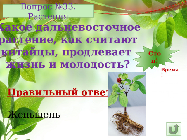 Вопрос №33. Растения Какое дальневосточное растение, как считают китайцы, продлевает жизнь и молодость? Стоп! 1 2 3 4 5 15 7 8 9 10 11 12 13 6 14 16 25 30 29 28 27 17 26 24 23 22 21 20 19 18 Время! Правильный ответ: Женьшень 