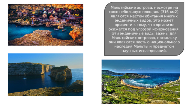 Мальтийские острова, несмотря на свою небольшую площадь (316 км2), являются местом обитания многих эндемичных видов. Это может привести к тому, что организм окажется под угрозой исчезновения. Эти эндемичные виды важны для Мальтийских островов, поскольку они являются частью национального наследия Мальты и предметом научных исследований. 