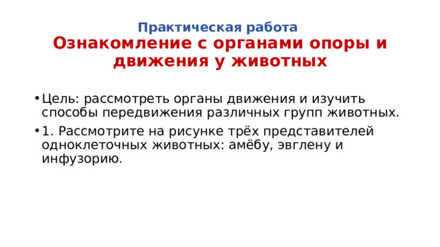 Практическая работа  Ознакомление с органами опоры и движения у животных Цель: рассмотреть органы движения и изучить способы передвижения различных групп животных. 1. Рассмотрите на рисунке трёх представителей одноклеточных животных: амёбу, эвглену и инфузорию. 