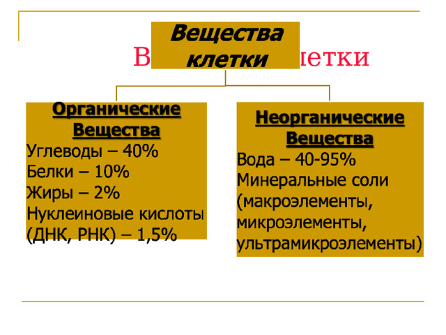 Вещества клетки 