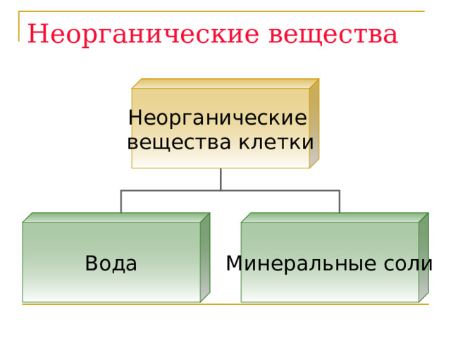 Неорганические вещества Неорганические вещества клетки Вода Минеральные соли 