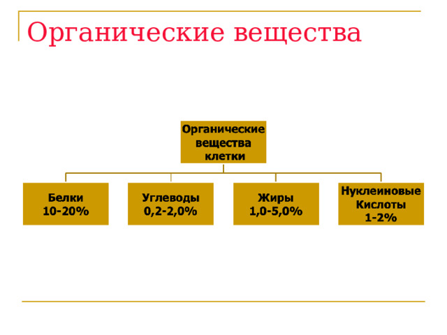 Органические вещества 