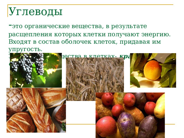Углеводы  - это органические вещества, в результате расщепления которых клетки получают энергию.  Входят в состав оболочек клеток, придавая им упругость.  Запасающие вещества в клетках- крахмал и сахара    