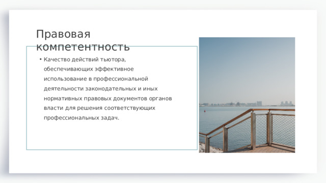 Правовая компетентность  Качество действий тьютора, обеспечивающих эффективное использование в профессиональной деятельности законодательных и иных нормативных правовых документов органов власти для решения соответствующих профессиональных задач.  