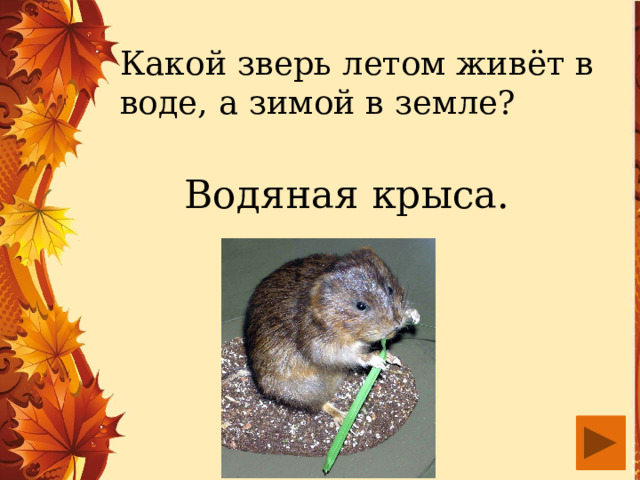 Какой зверь летом живёт в воде, а зимой в земле? Водяная крыса. 