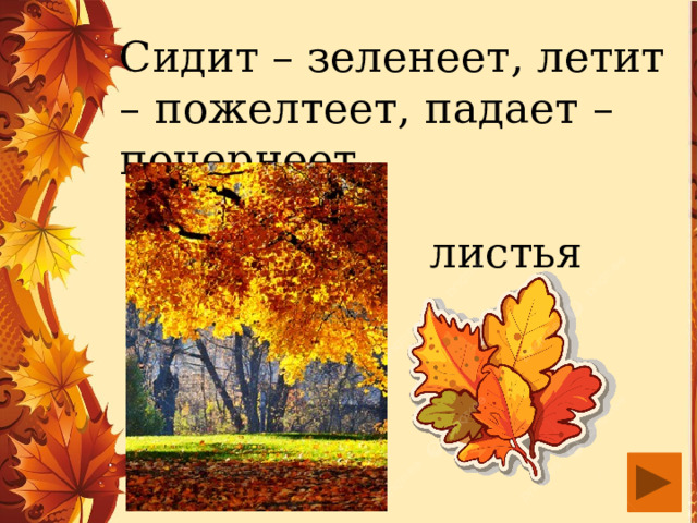 Сидит – зеленеет, летит – пожелтеет, падает – почернеет. листья 